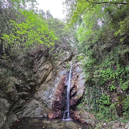 Village Camping Fico D'India Ovile la Marina 외부 사진