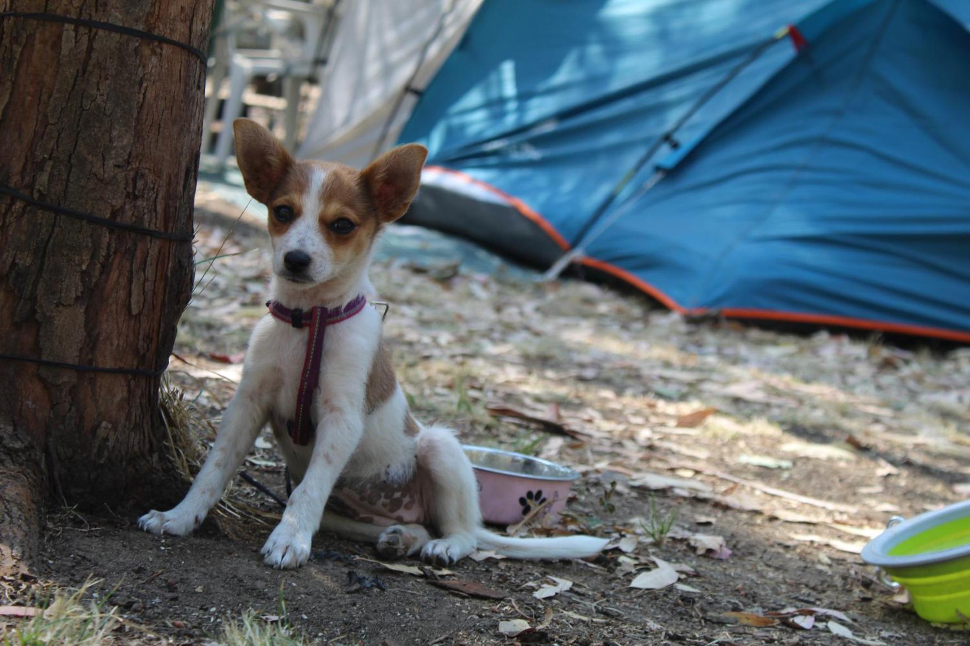 Village Camping Fico D'India Ovile la Marina 외부 사진